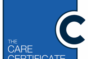 Care Certificate Course - 15 Standards (Individual Certificates)